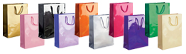 Small Gloss Paper Bags with Rope Handles-15x20x8cm